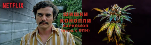 гидра Сатка
