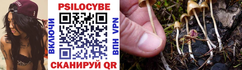 Псилоцибиновые грибы Cubensis  Купить закладки  Ардатов 